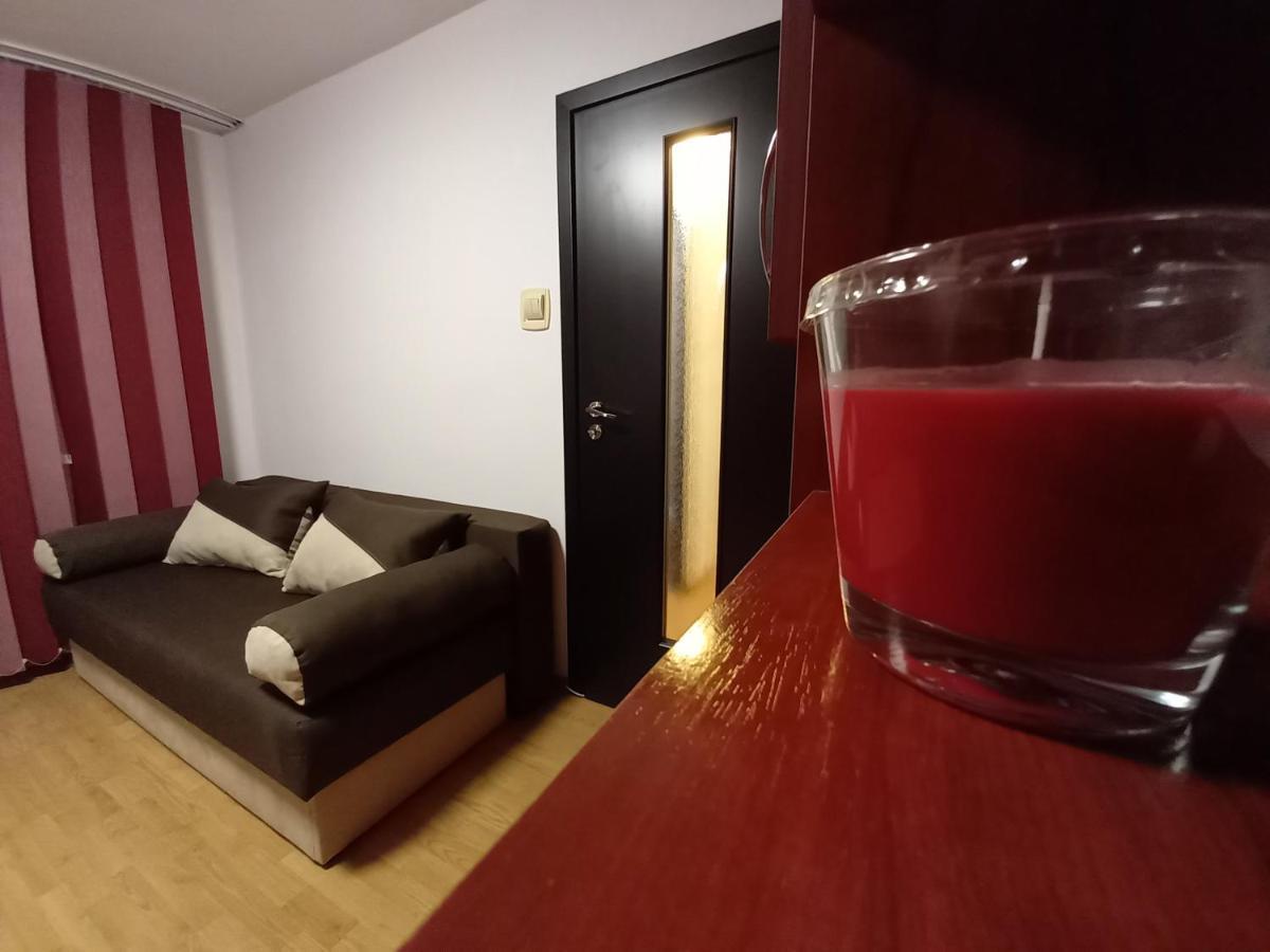Alma Apartament Piatra Neamţ 外观 照片