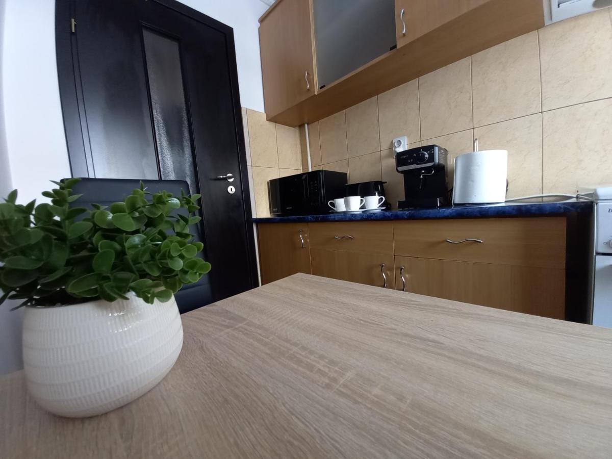 Alma Apartament Piatra Neamţ 外观 照片