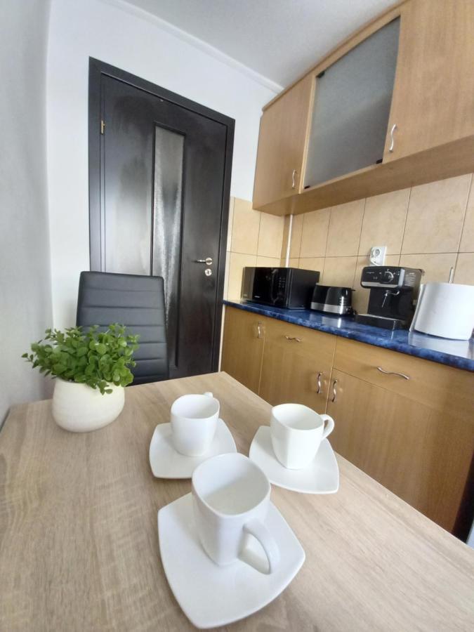 Alma Apartament Piatra Neamţ 外观 照片