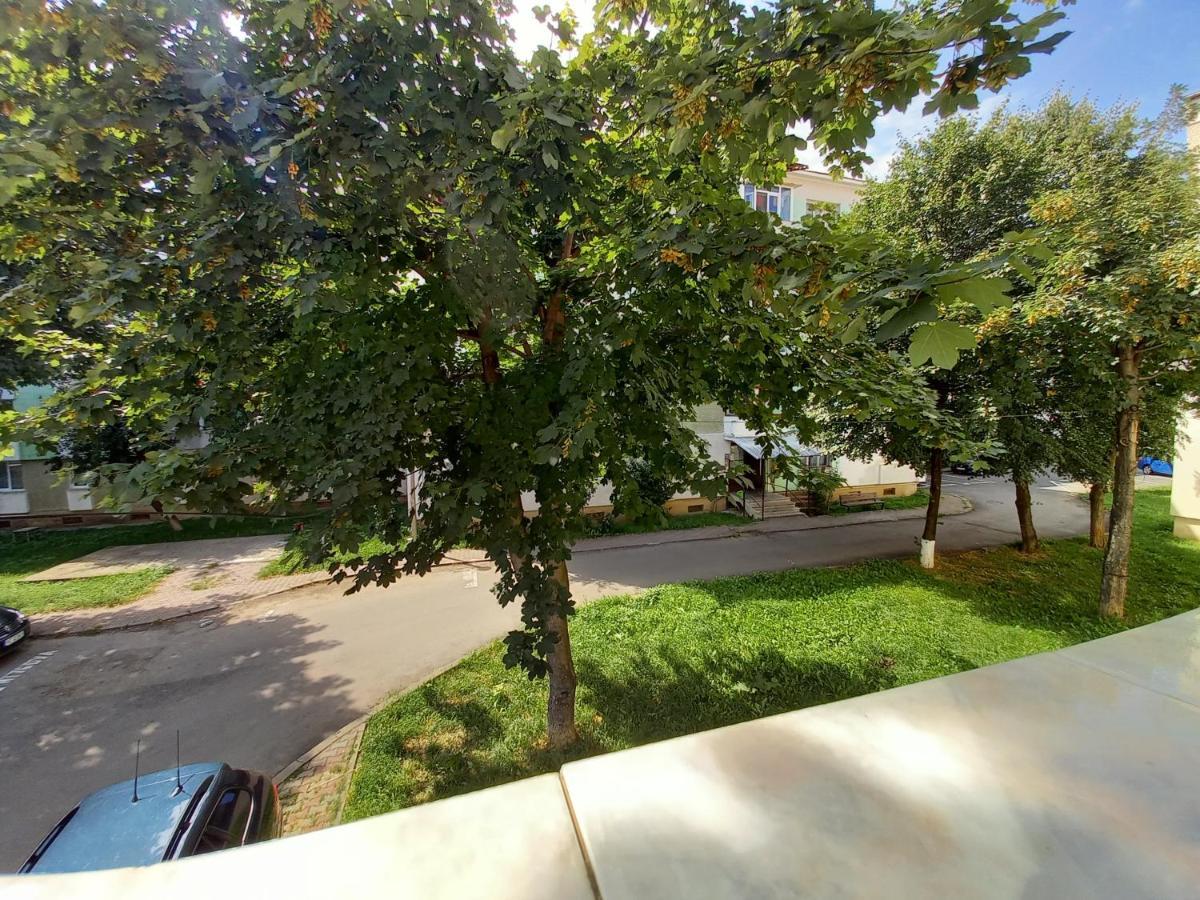 Alma Apartament Piatra Neamţ 外观 照片