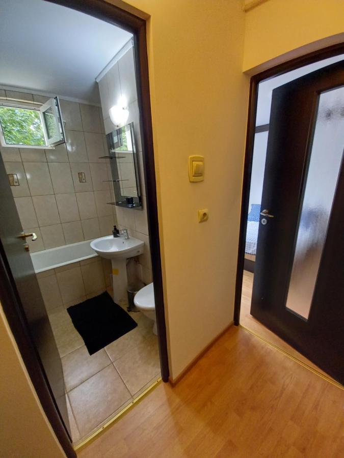 Alma Apartament Piatra Neamţ 外观 照片