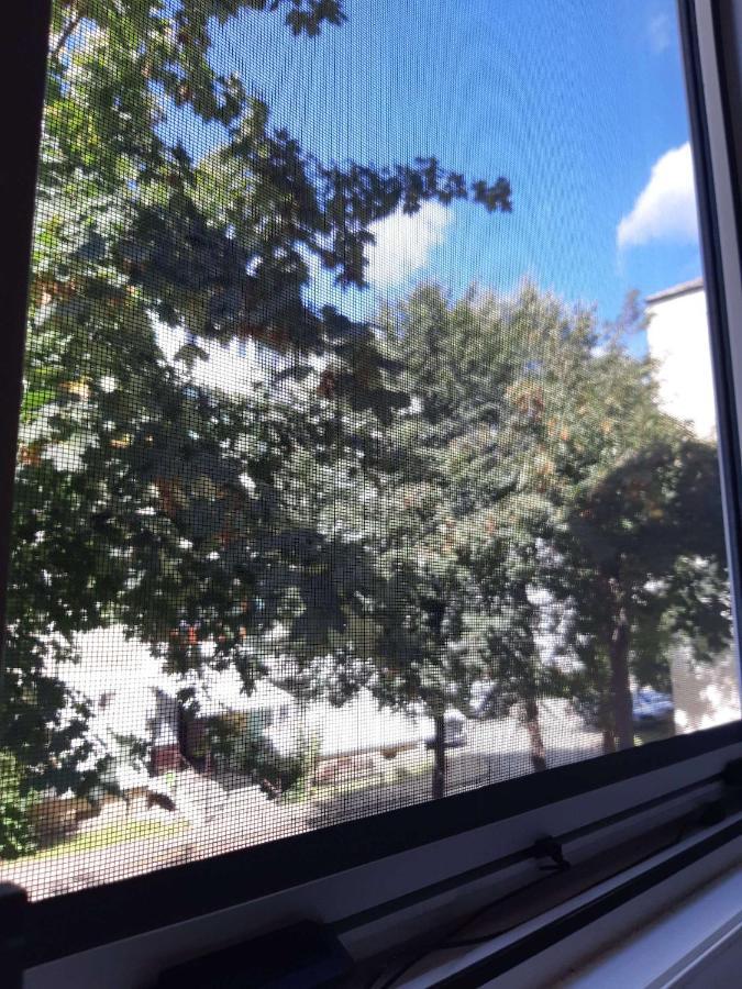 Alma Apartament Piatra Neamţ 外观 照片